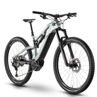 E-MTB RAYMON
