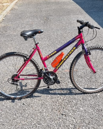 Bicicletta MTB