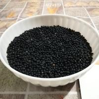 Seme asparagi selvatici