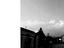 Immagine 18