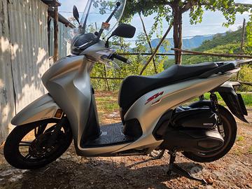SH 350 SPORT 2023