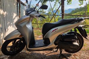 SH 350 SPORT 2023