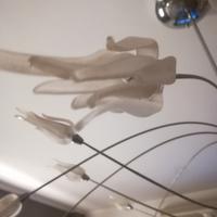 aureliano toso zashi