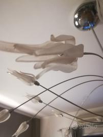 aureliano toso zashi