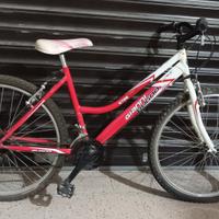 Bici Mtb 