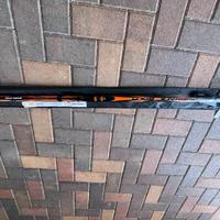 Bolognese 7m Lumina nuova