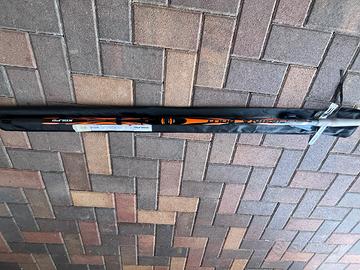 Bolognese 7m Lumina nuova