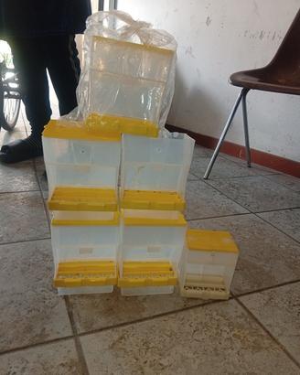 Contenitori per cibo pappagalli o altro