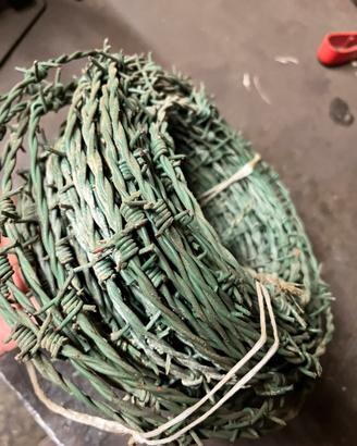 Giardinaggio fai da te