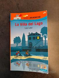 libri: la Villa del Lago