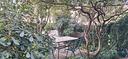 appartamento-piano-terra-con-giardino