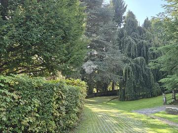 3 LOCALI A ALTA VALLE INTELVI