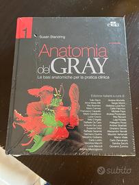 Anatomia del gray