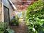 Immagine 22
