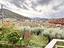 Immagine 12