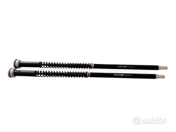 KIT CARTUCCIA FORCELLA EVOLUTION ANDREANI SUZUKI G