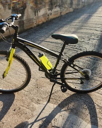 Bicicletta ragazzo/a