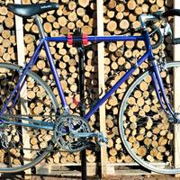 Bicicletta De Rosa vintage