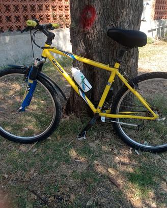Mountain bike dechatlon