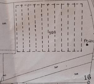 Terreno 10.000 mq con 5.000 mq di serre
