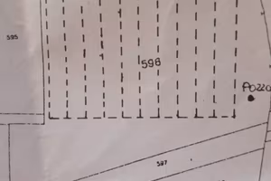 Terreno 10.000 mq con 5.000 mq di serre