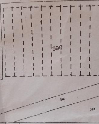 Terreno 10.000 mq con 5.000 mq di serre