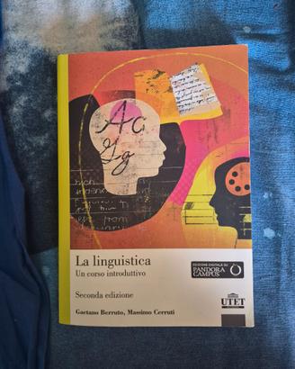 La Linguistica, Berruto e Cerruti