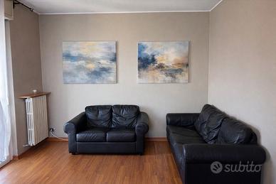 Coppia si divani in pelle nera, usato buono