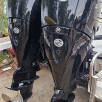 Coppia Mercury 150cv EFI