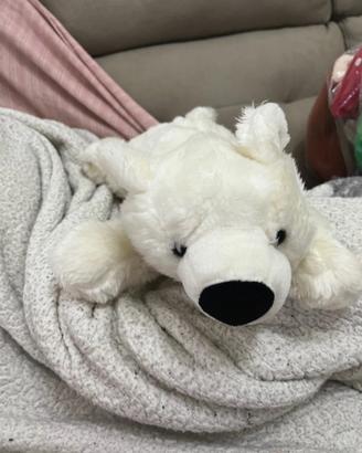Orso peluche