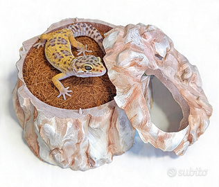 Tana rettili, accessori spedisco