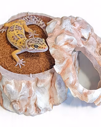 Tana rettili, accessori spedisco