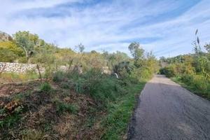 Terreno di 2000 m² a Ausonia