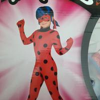 vestito di carnevale 