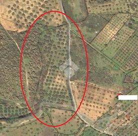 TER. AGRICOLO A CROPANI