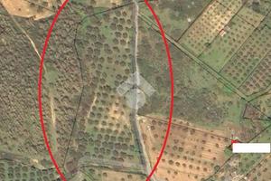 TER. AGRICOLO A CROPANI