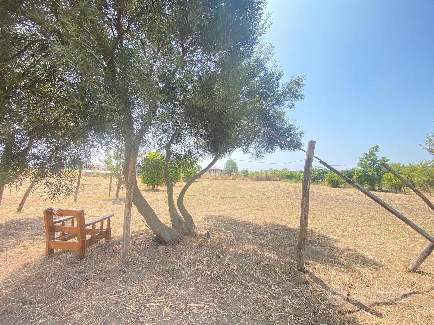 3Terreni Agricoli Via Arco Sant'Antonio FL288 - Vista 2