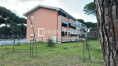 Rif.03700| appartamento trilocale