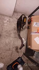 Marmitta piaggio arrow