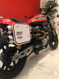 Harley davidson xr 1200 flat track