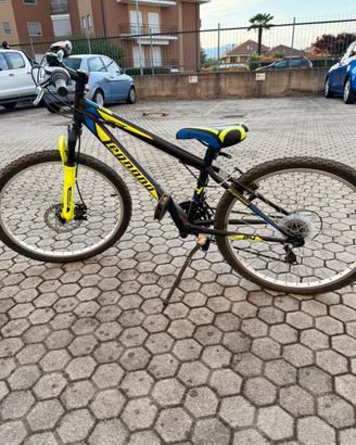 Mountain bike Legnano 20”