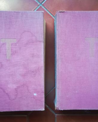 Enciclopedia Tumminelli 2 Volumi 1956 Titoli Oro