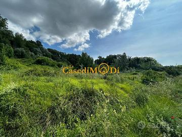 Terreno di 8000 m² a Fauglia