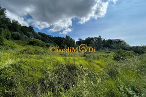 Terreno di 8000 m² a Fauglia