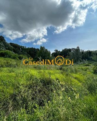 Terreno di 8000 m² a Fauglia