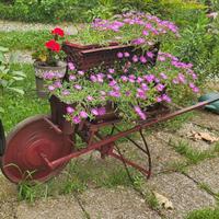 Carriola porta fiori in acciaio