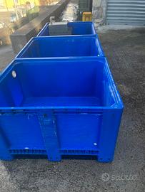 Vasche astici e frutti di mare