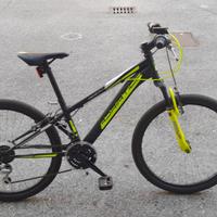 Bicicletta mountain bike