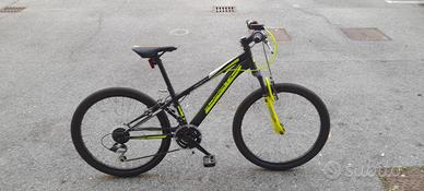 Bicicletta mountain bike
