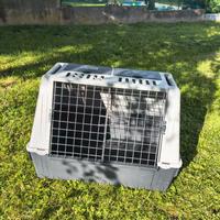 Gabbia per cani 🐶